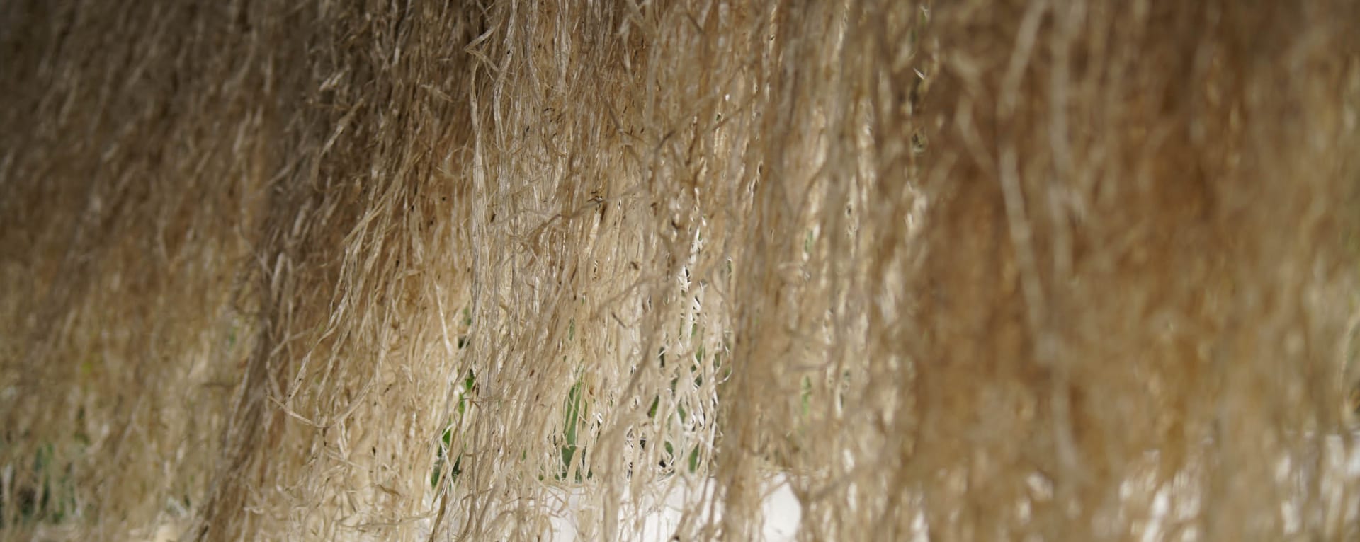 Close detail of raw natural fibre before the loom — loose strands, natural variation in tone