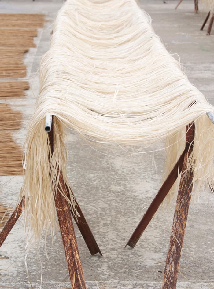 Natural fibre drying on rusted stands in the workshop, before weaving